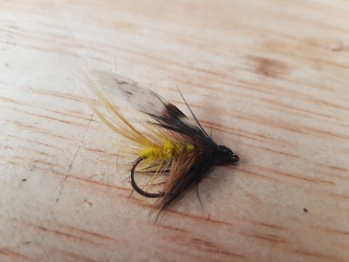 Wet flies